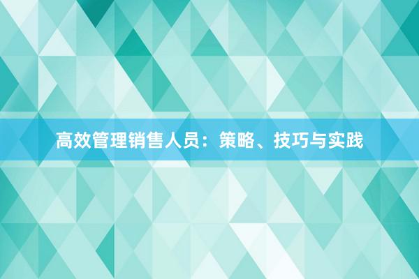 高效管理销售人员：策略、技巧与实践